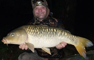 Common Carp