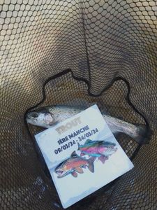 Rainbow Trout