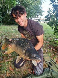 Mirror Carp