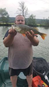 European Perch