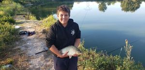 Crucian Carp