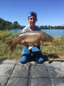 Mirror Carp
