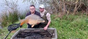 Mirror Carp