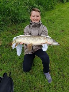 Northern Pike