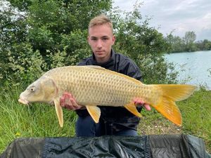 Koï Fish