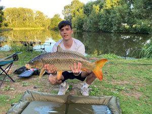 Common Carp