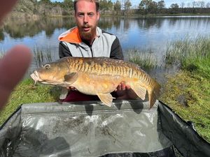 Leather Carp