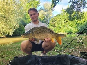 Common Carp