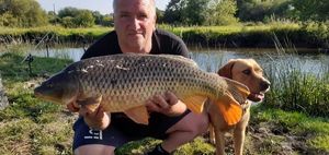 Common Carp