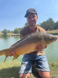Mirror Carp