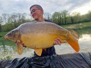 Mirror Carp