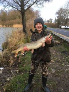 Northern Pike