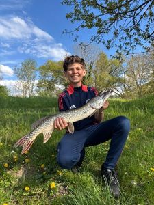 Northern Pike