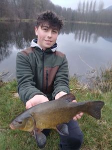 Tench