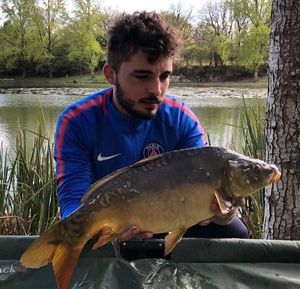 Mirror Carp