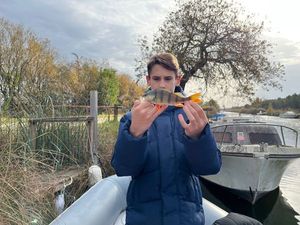 European Perch