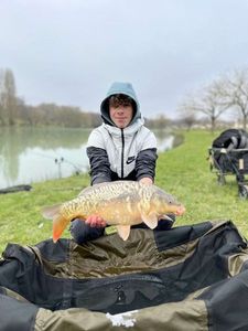 Mirror Carp
