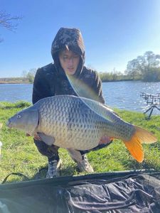 Common Carp
