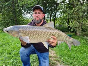 Grass Carp