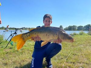 Mirror Carp