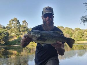 Largemouth Bass