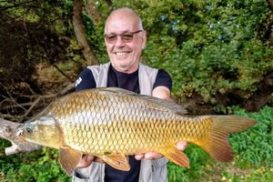 Common Carp