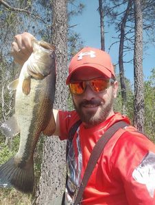 Largemouth Bass