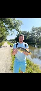 Largemouth Bass