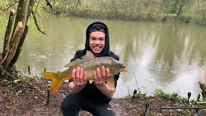 Mirror Carp