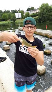 European Perch