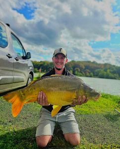 Mirror Carp