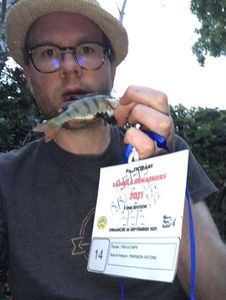 European Perch
