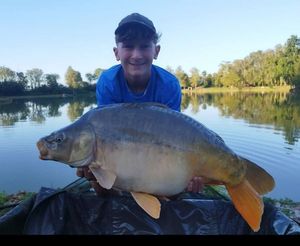 Mirror Carp