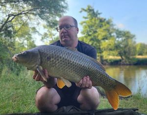 Common Carp