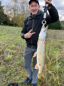 Northern Pike