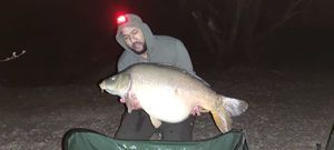 Mirror Carp