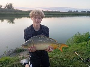 Mirror Carp