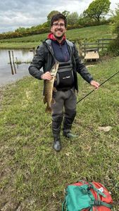 Northern Pike