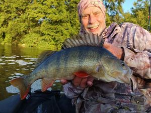 European Perch
