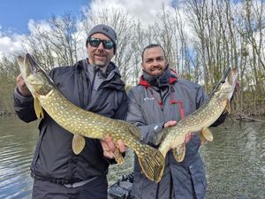 Northern Pike