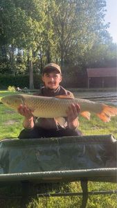 Grass Carp