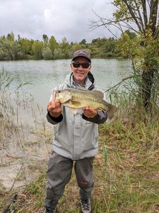 Largemouth Bass