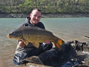 Common Carp