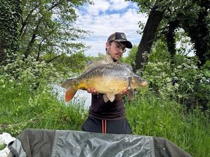 Leather Carp