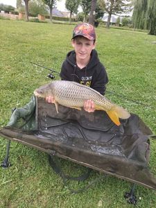 Common Carp