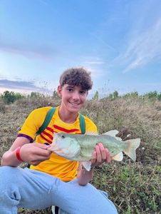 Largemouth Bass