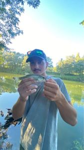 Smallmouth Bass