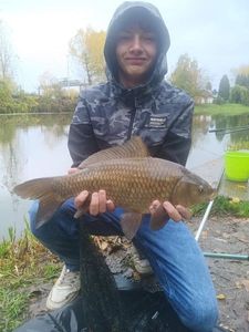 Crucian Carp