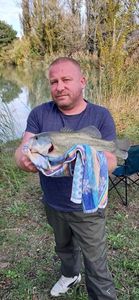 Largemouth Bass