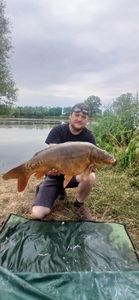 Mirror Carp